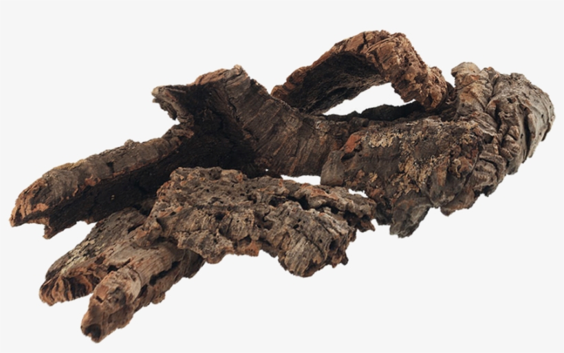 Roots, 3, Photoshop, Plants - Fantasy Root Plant, transparent png