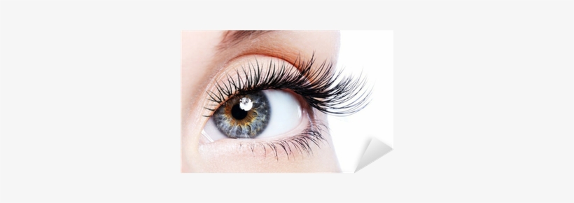 Beauty Female Eye With Curl Long False Eyelashes Sticker - Organic Castor Oil By Sky Organics, transparent png