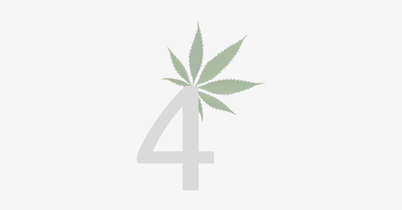 Legal Marijuana Dispensaries - Cannabis Leaf, transparent png