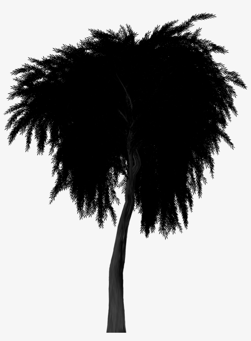 Silhouette Weeping Willow Tree 1502222 - Treurwilg Png, transparent png