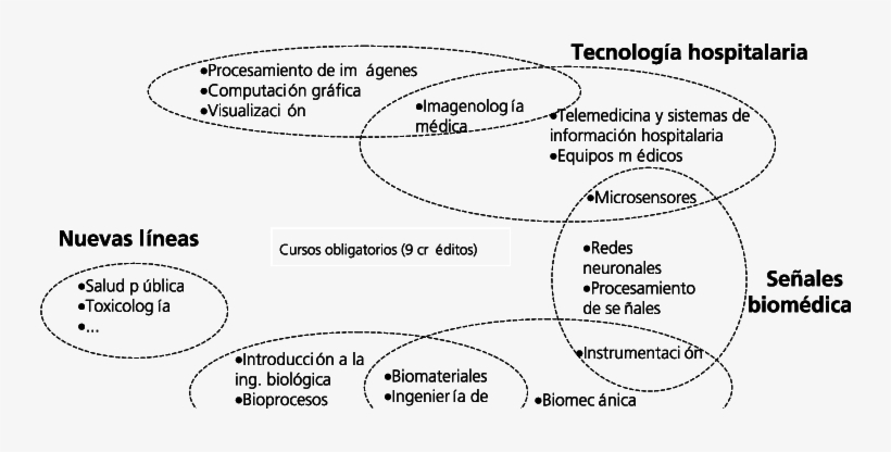 Líneas De La Opción En Bioin- Geniería - Illustration, transparent png