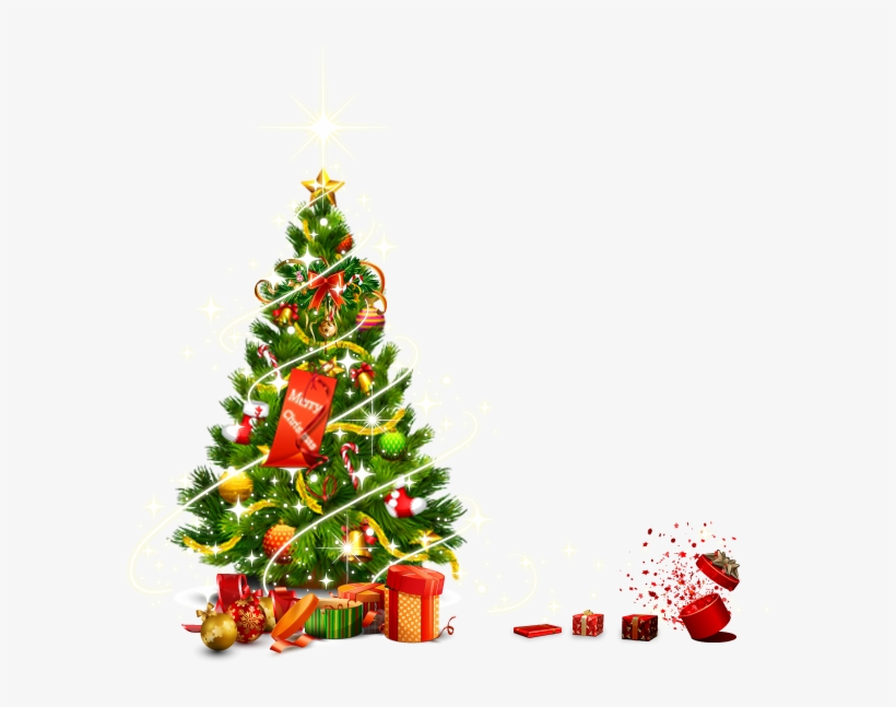 Christmas Tree Vector Christmas Tree Lighting Png 600x600 PNG