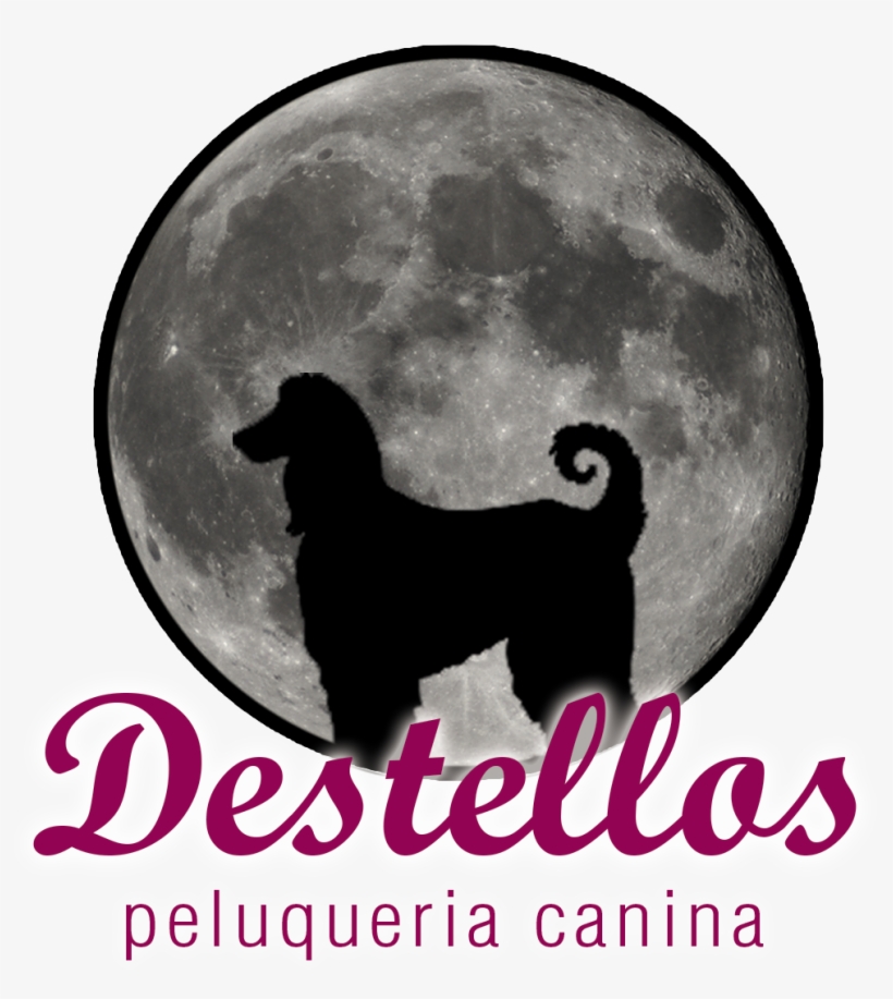 Destellos Peluqueria Canina En Alhaurin De La Torre - Can We Develop India, transparent png