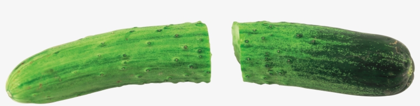 Cucumber, transparent png