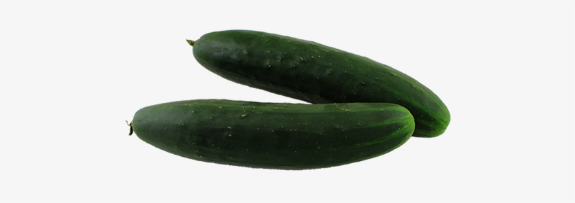 Pickled Cucumber, transparent png