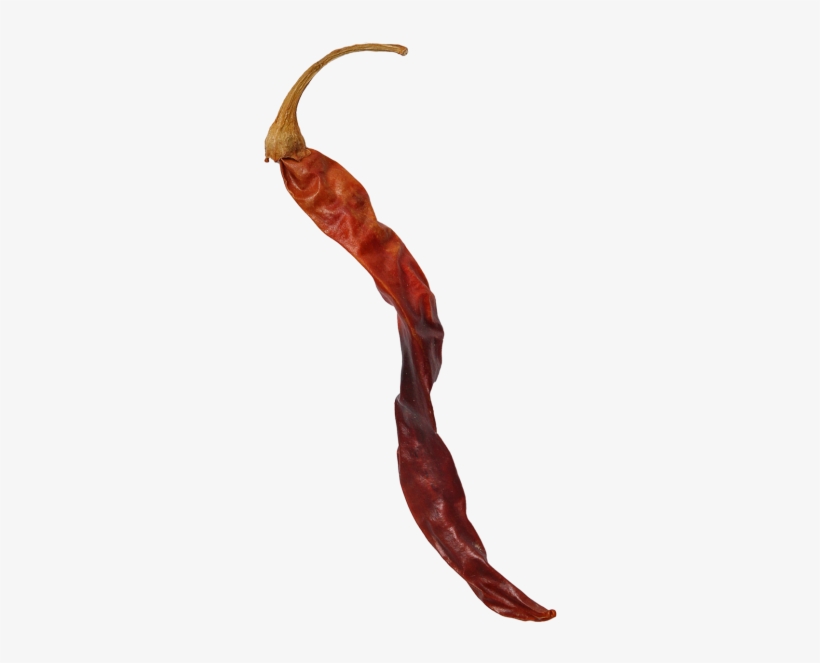 Dried Chilli Pepper - Portable Network Graphics, transparent png