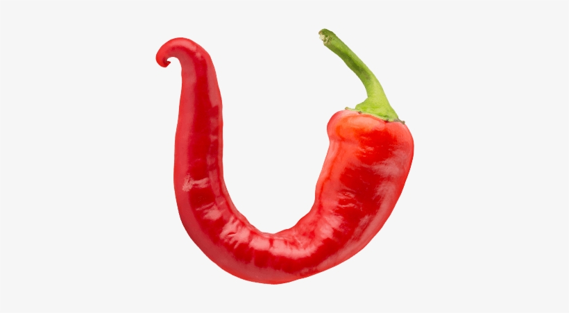 Bird's Eye Chili, transparent png