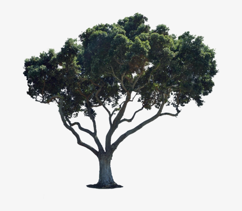 Street Png For Photoshop, transparent png