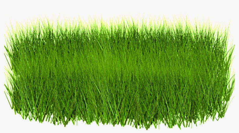 A Piece Of Grass Transparent Decorative - Green Grass In Png, transparent png