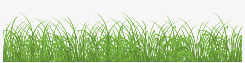 Easter Eggs In Grass Png For Kids - Transparent Background Grass Png, transparent png