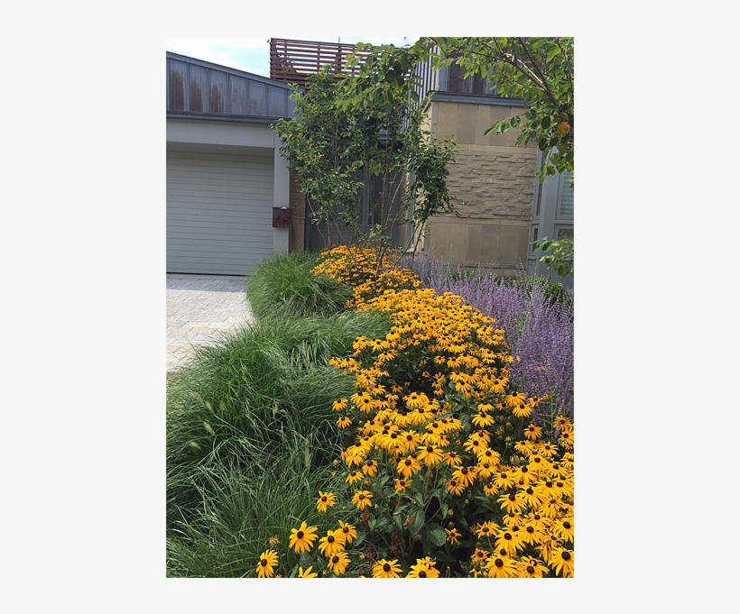Our Complete Property Maintenance Program Offers A - Paragon Landscape Construction, Inc, transparent png