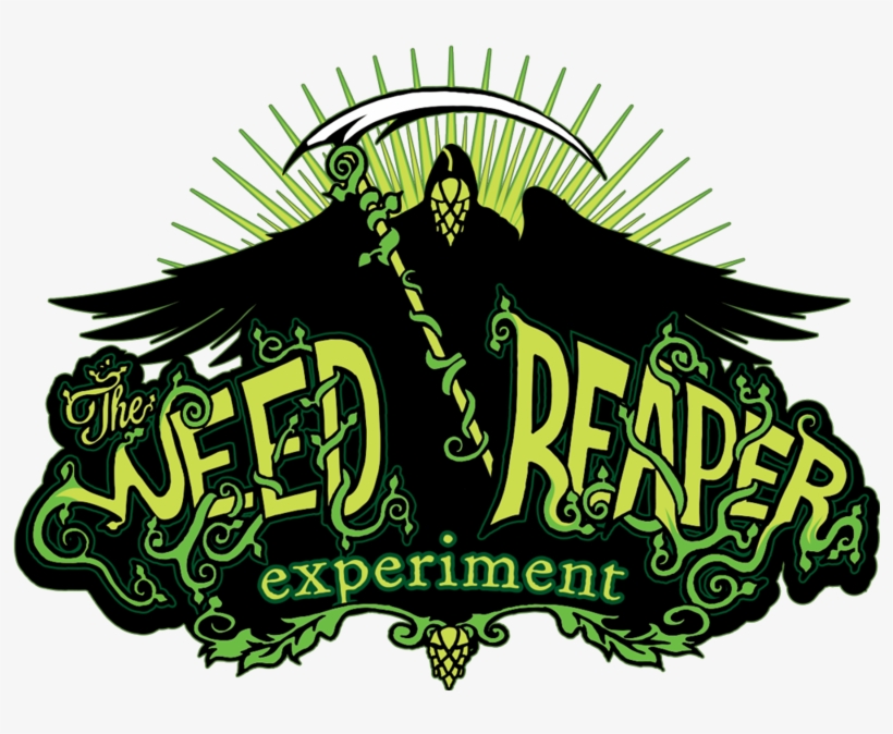 Illustration, transparent png