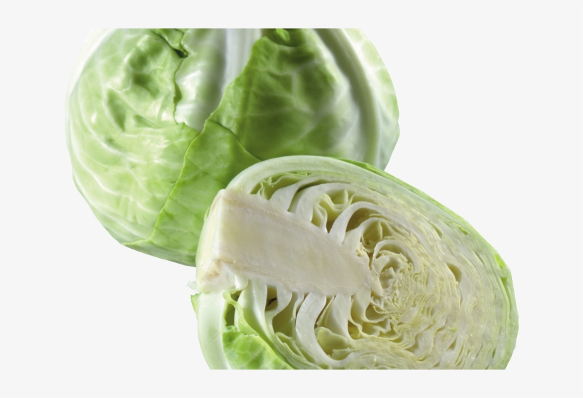 Cabbage Clipart Transparent Background - Cabbage, transparent png