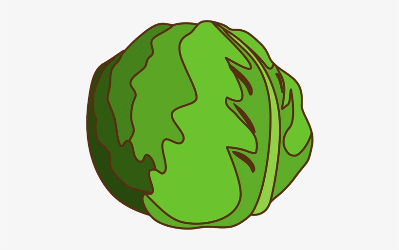 Cabbage - Vegetable, transparent png