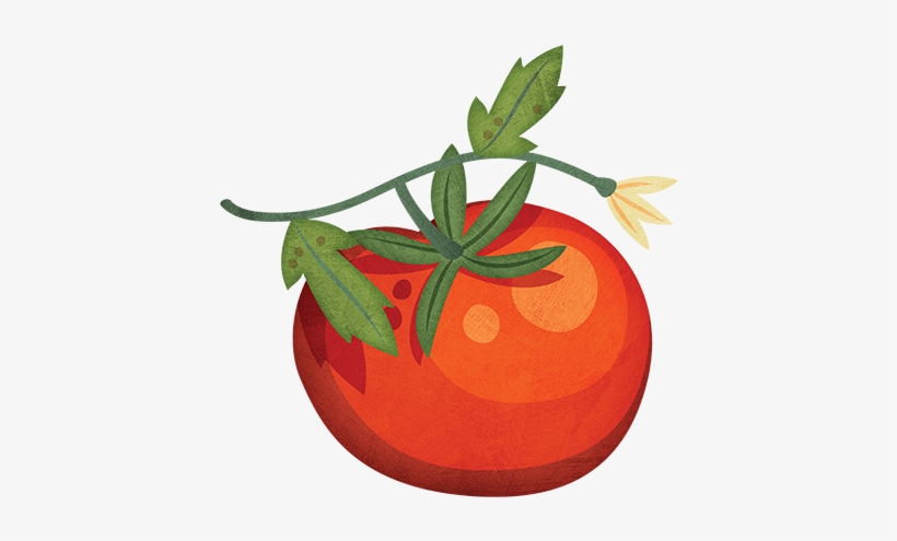 Tomato - Clip Art, transparent png