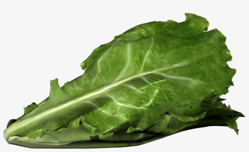 Cdc Investigating E - Romaine Lettuce E Coli Outbreak, transparent png