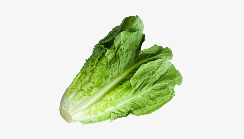 Romaine Lettuce Png Image With Transparent Background - Green Giant Iceberg Lettuce, transparent png