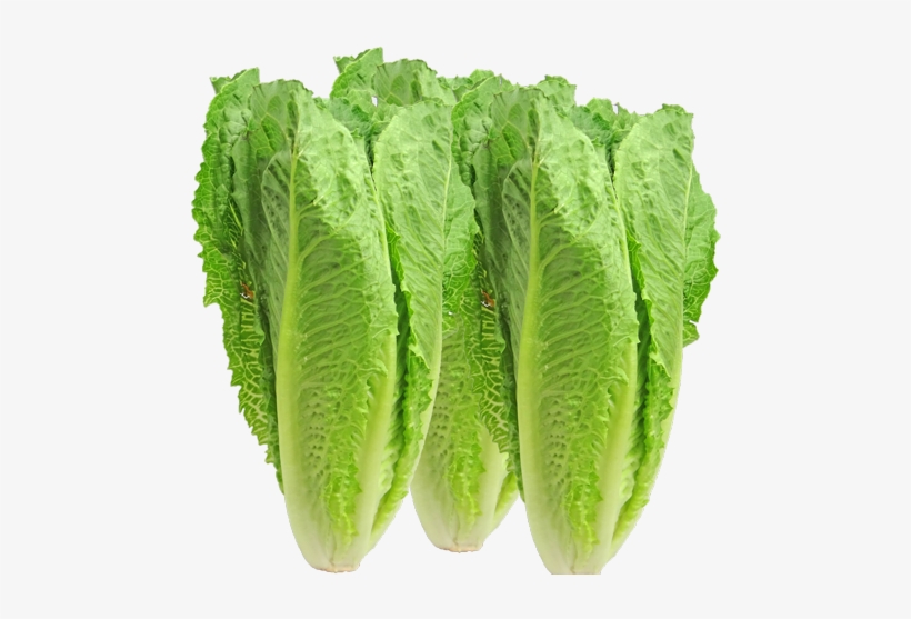 So Why Don't We Have Better Traceability In 2018 The - Romaine Lettuce, transparent png
