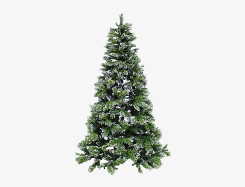 View Theme Ideas - Real Pine Tree, transparent png