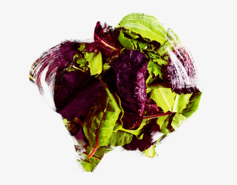 Salads - Radicchio, transparent png
