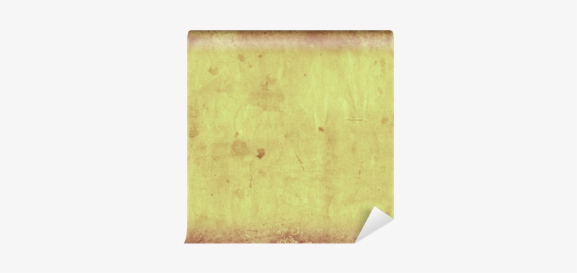 Grass, transparent png