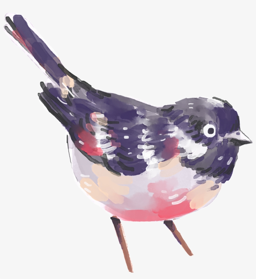 Hand Painted A Painting Bird Png Transparent - Watercolor Transparent Floral Wreath, transparent png
