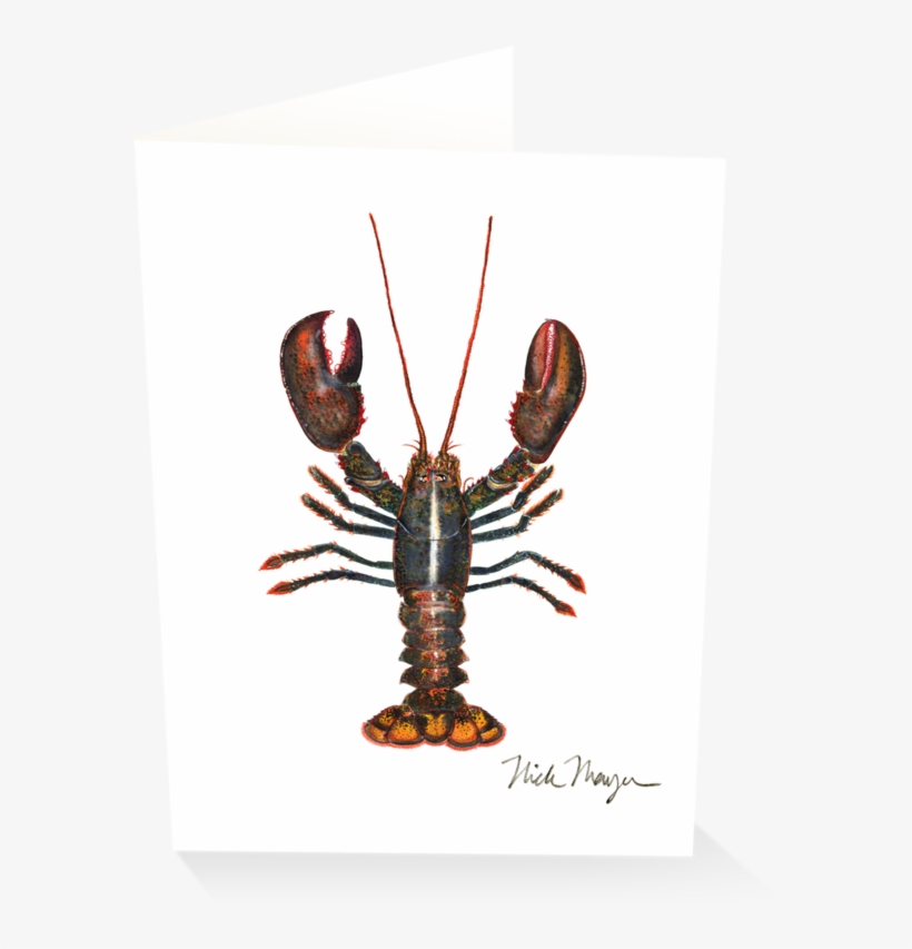 Northern Lobster - American Lobster, transparent png