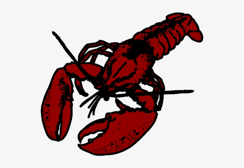 Lobster, transparent png