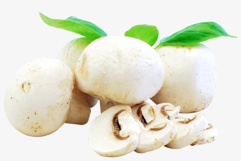 Free Png Fresh Mushrooms Png Images Transparent - Mushrooms Food Png, transparent png