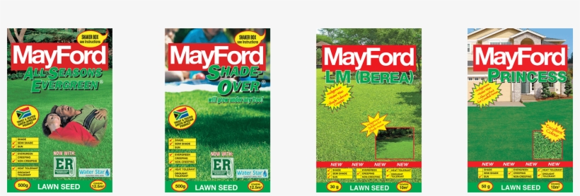 Top Grasses For A Great Lawn - Mayford - Lawn Seed Lm Lawn Grass (berea), transparent png