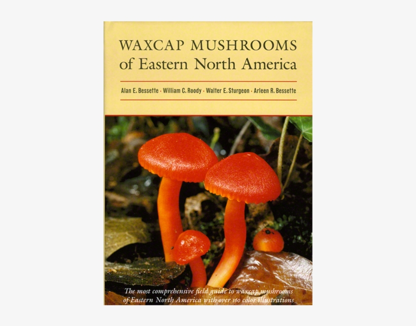 Waxcap Mushrooms Of Eastern North America, transparent png