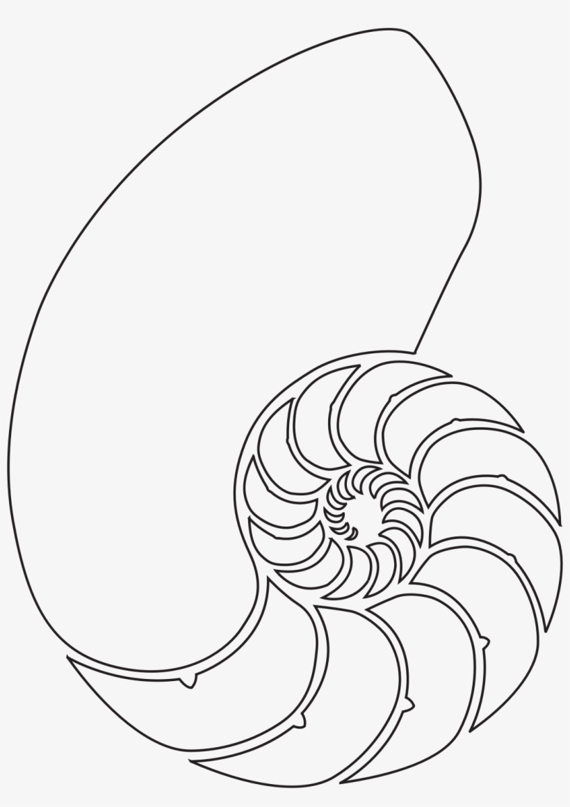 This Free Icons Png Design Of Nautilus Shell - Nautilus Shell Clip Art, transparent png