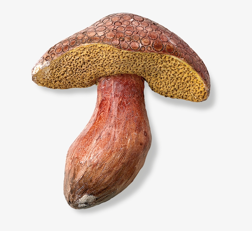 Original Mushroom - The Original Mushroom, transparent png