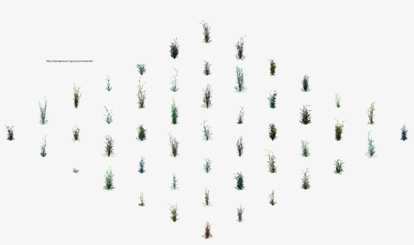 Hjm Grasses 4 Alpha - Christmas Tree, transparent png