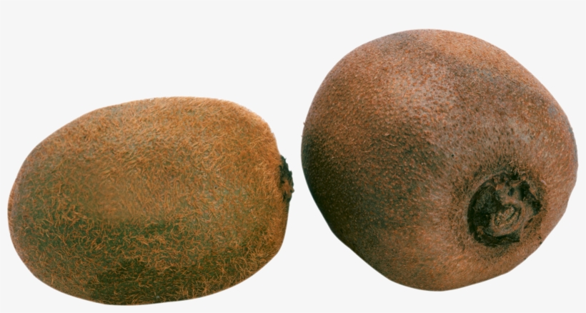 Kiwi Png - Kiwis Png, transparent png