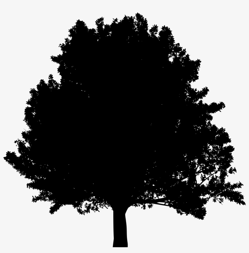 Big Image - Portable Network Graphics, transparent png