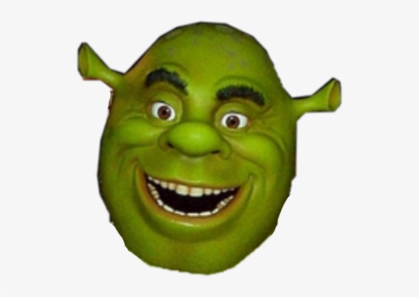 Shrek Stupid, transparent png