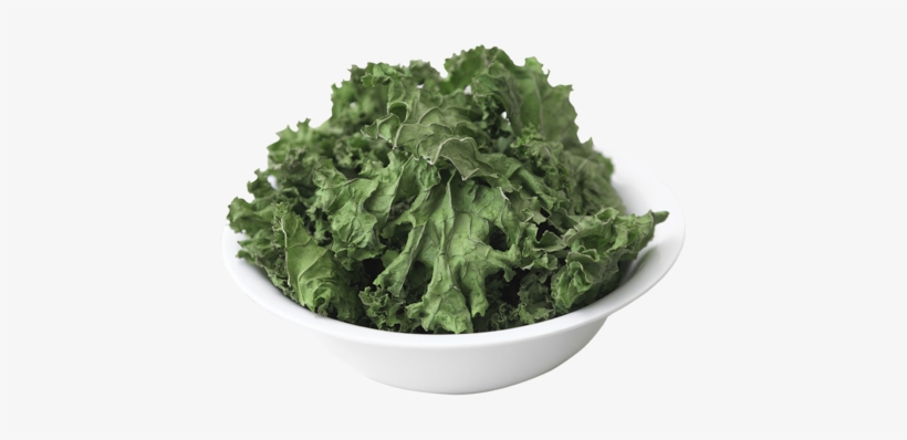 Kale Is Chockfull Of Vitamin K, With A - Homesteading Handbook Vol. 5 Food Drying:, transparent png