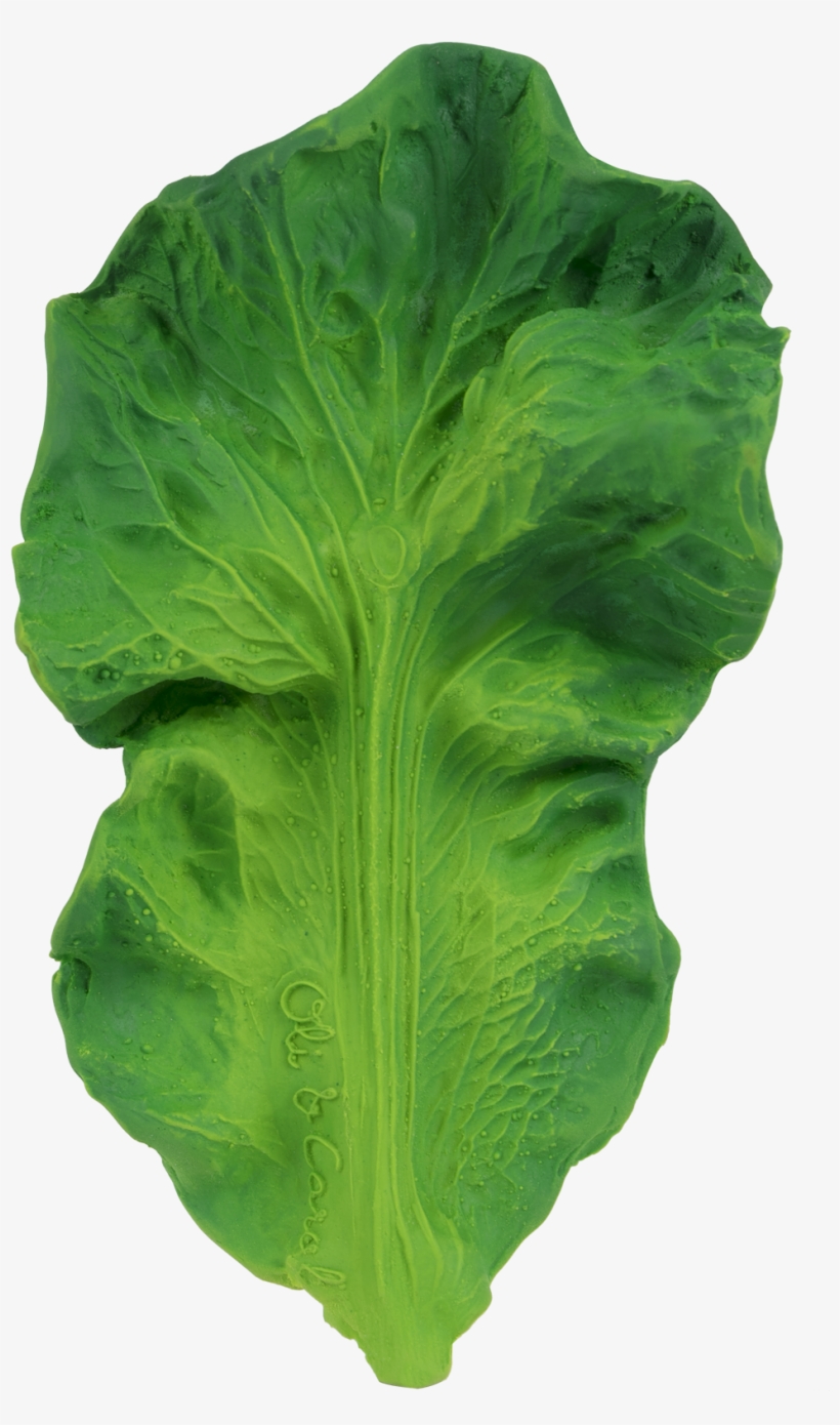 Kendall The Kale - Oli & Carol Kendall The Kale Teether, transparent png
