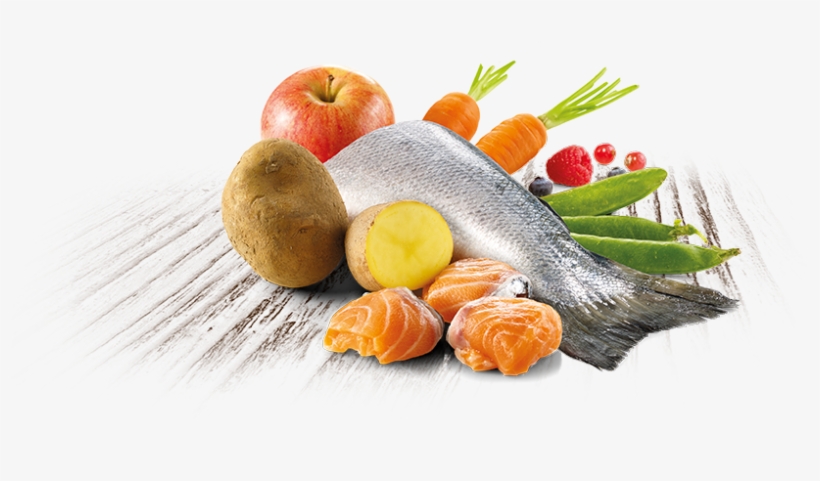 D Pienso Natural Para Perros Con Salmon Fresco Trueinstinct - Salmon, transparent png