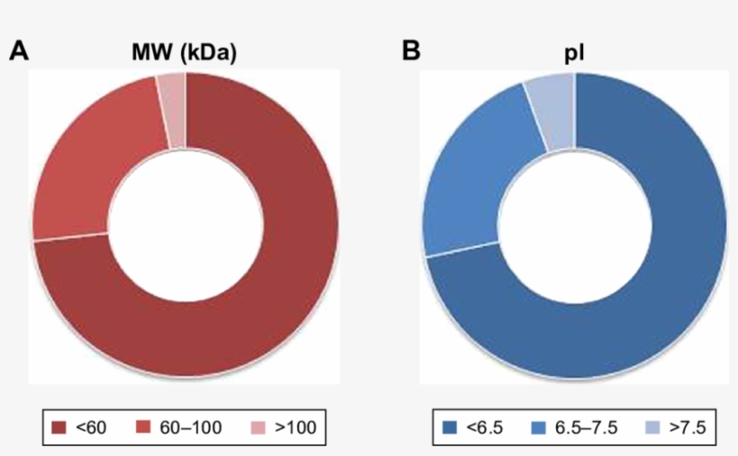 Clusterization Of Proteins In The Corona - Circle, transparent png