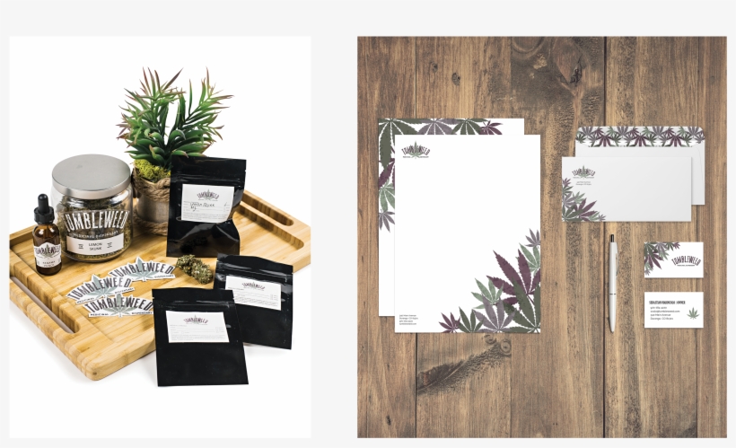 The Branding For Tumbleweed Exemplifies A “rustic Home” - Plywood, transparent png