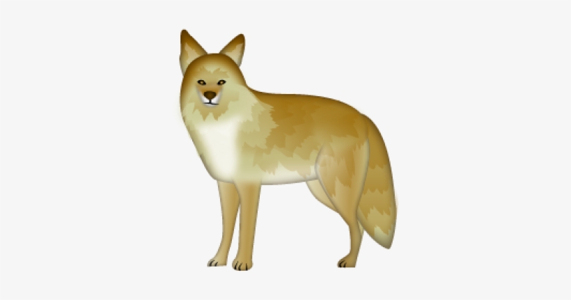Jackal, Coyote Png, Download Png Image With Transparent - Coyote, transparent png