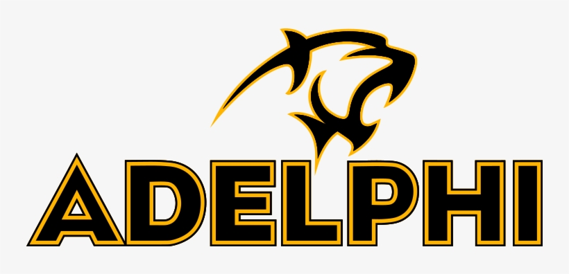 Panther Wordmark - Full Color - Adelphi Panthers, transparent png