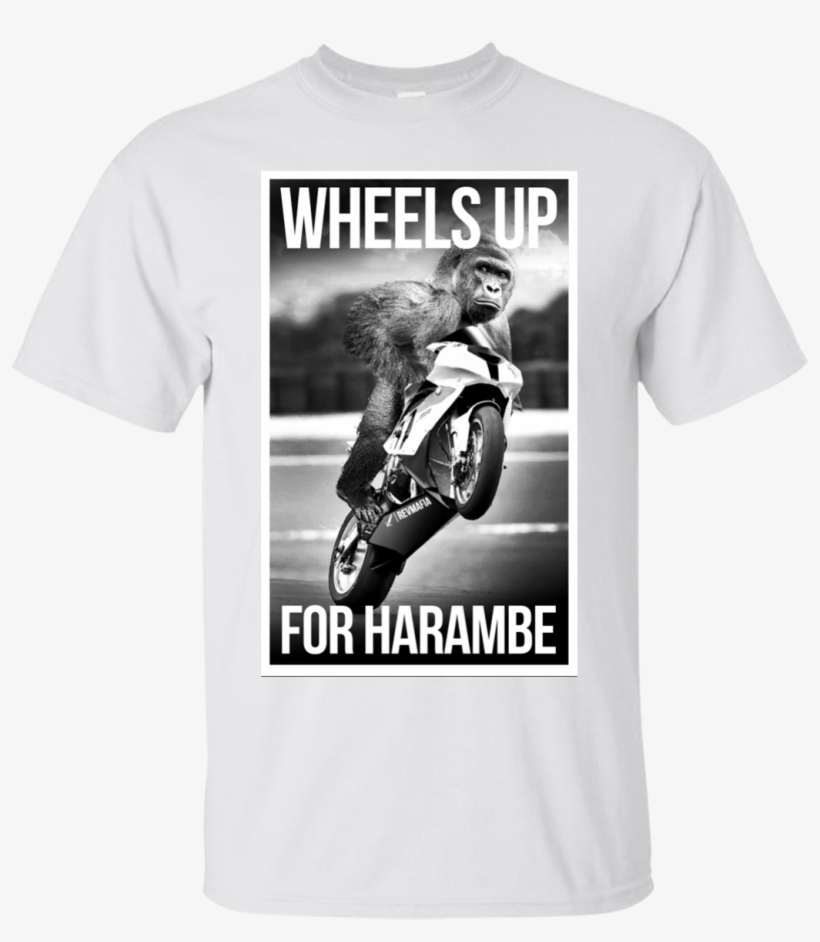 Harambe Pic In R6, transparent png