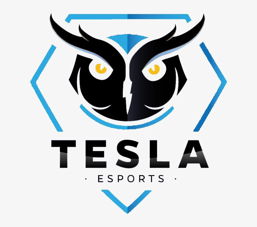 Tesla E Sports Lol, transparent png