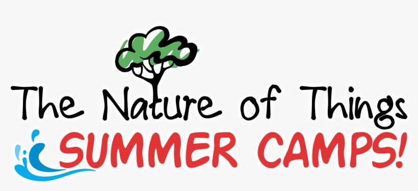 The Nature Of Things - Hoops! Basketball Sports Love Wall Vinyl Art, Vinyl, transparent png