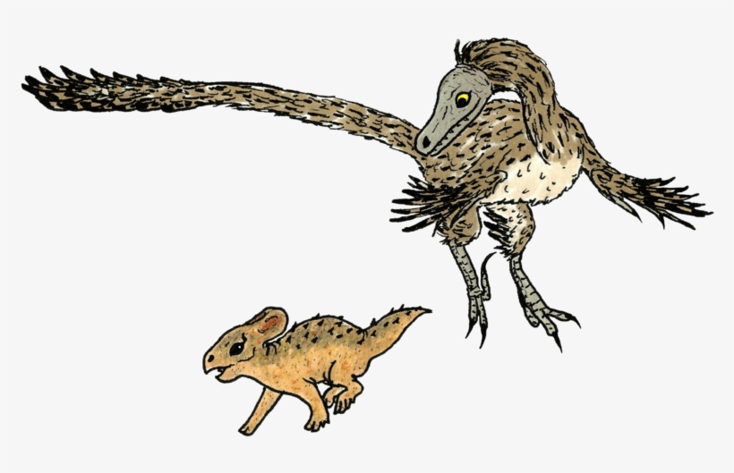 Velociraptor Mongoliensis Protoceratops Andrewsi - Protoceratops, transparent png