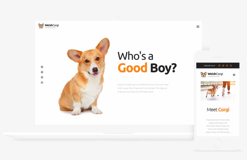 Welsh Corgi Dog Breeding And Sale Wp Theme - Nature's Miracle 32-ounce, 4 In 1 Shampoo & Conditioner, transparent png