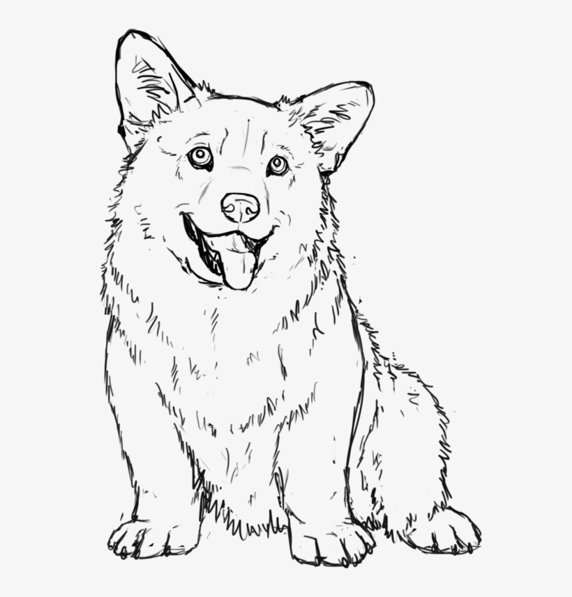 Corgi Drawing Transparent - Outline Of A Corgi, transparent png